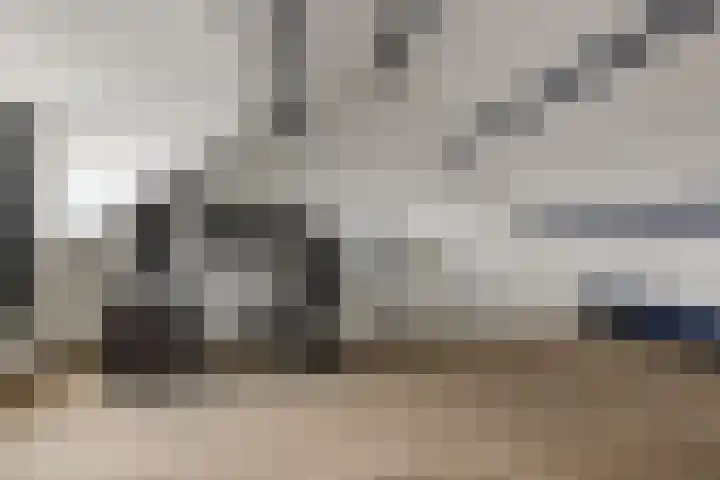 Den Achterhof 25 Liempde thumbnail 45