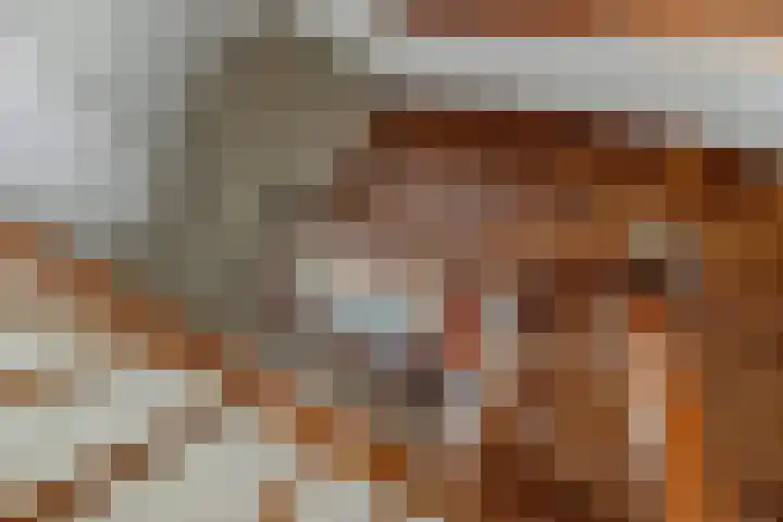 Den Achterhof 25 Liempde thumbnail 48