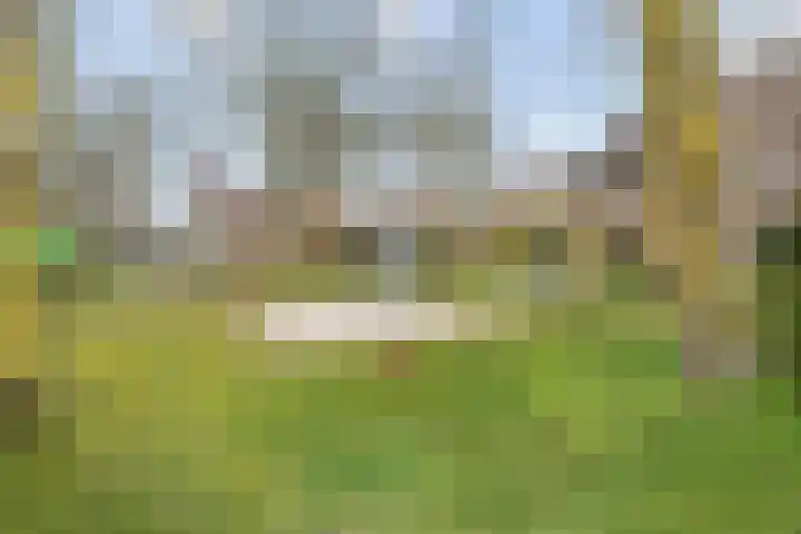 Den Achterhof 25 Liempde thumbnail 55