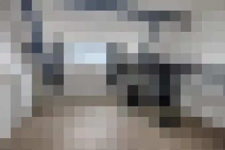 Den Achterhof 25 Liempde thumbnail 8