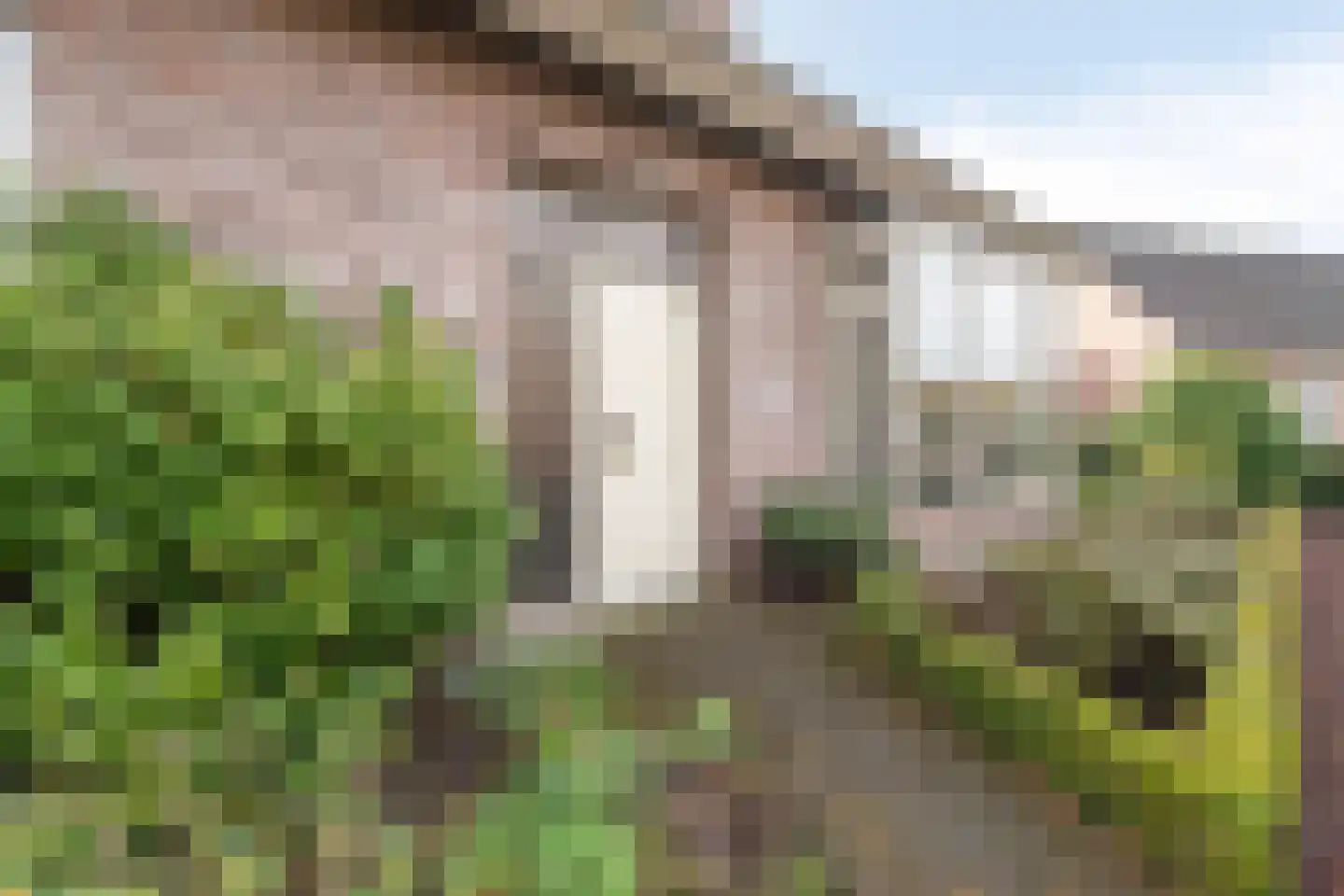 Den Achterhof 8 Liempde thumbnail 11
