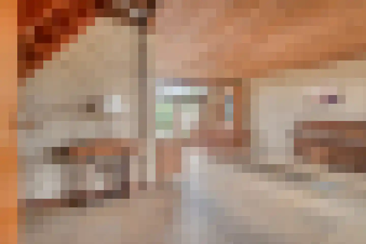 Den Achterhof 8 Liempde thumbnail 14