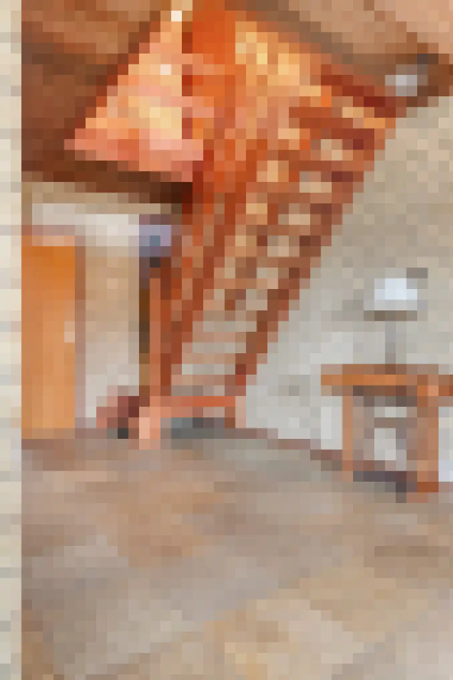 Den Achterhof 8 Liempde thumbnail 15