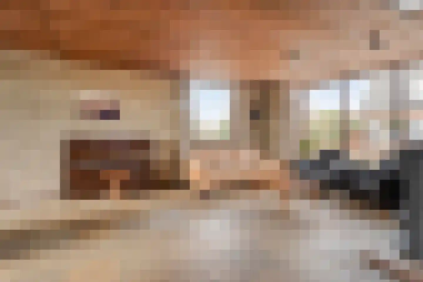 Den Achterhof 8 Liempde thumbnail 17