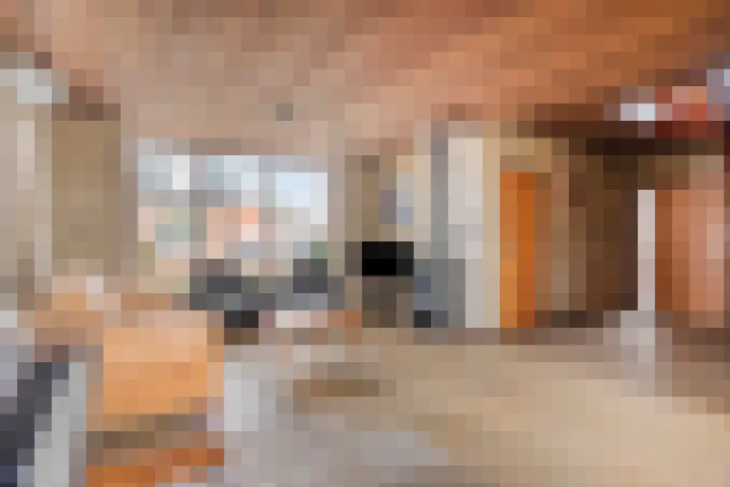 Den Achterhof 8 Liempde thumbnail 18