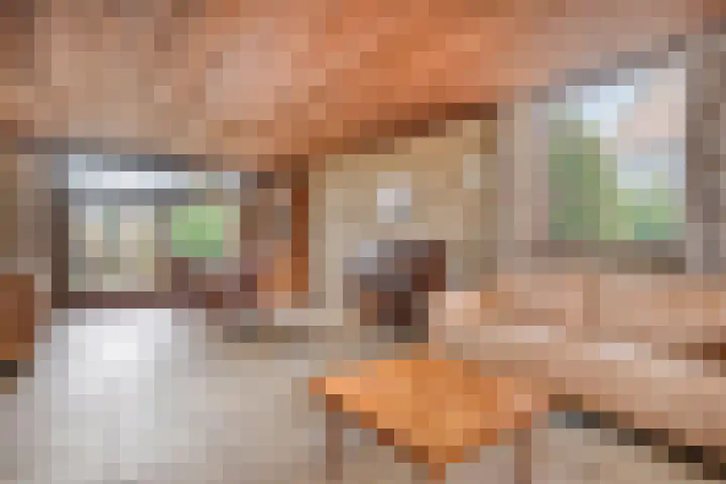 Den Achterhof 8 Liempde thumbnail 20