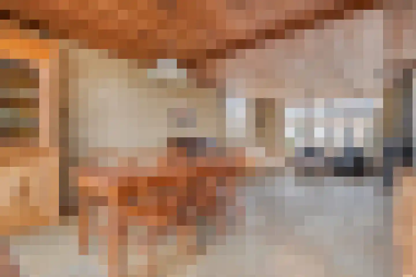 Den Achterhof 8 Liempde thumbnail 22