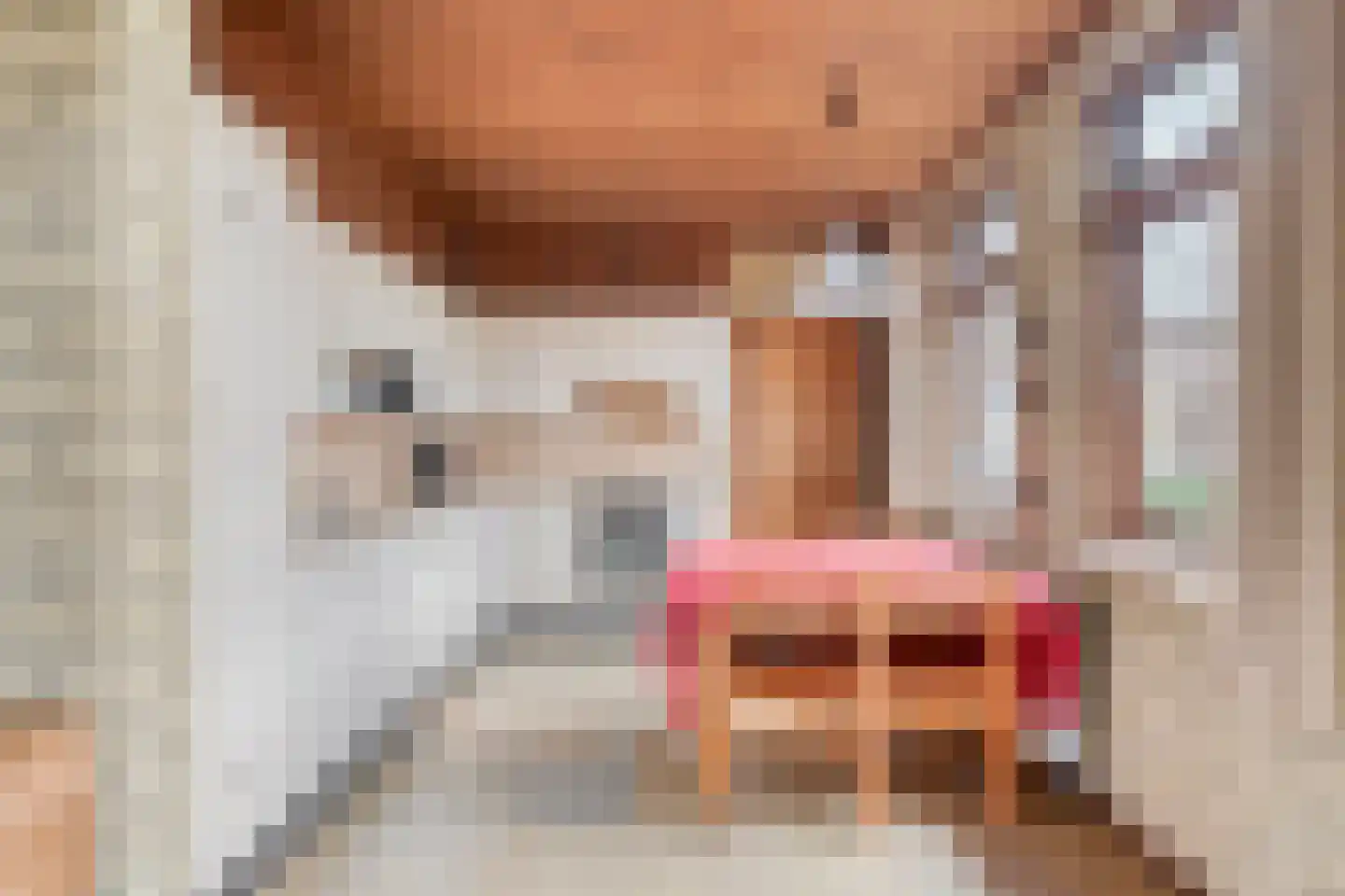 Den Achterhof 8 Liempde thumbnail 25