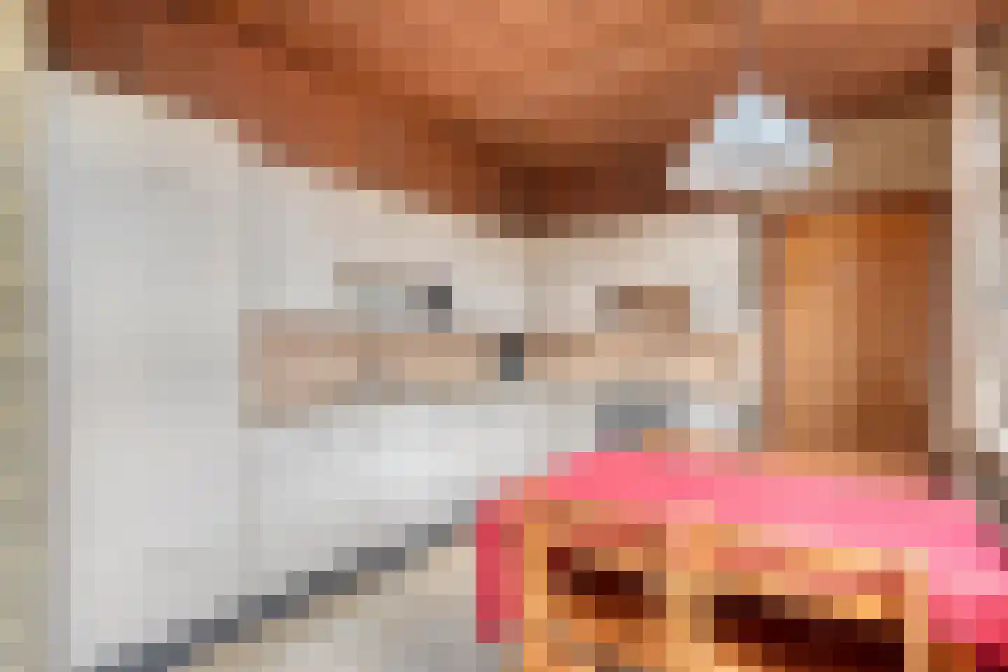 Den Achterhof 8 Liempde thumbnail 26