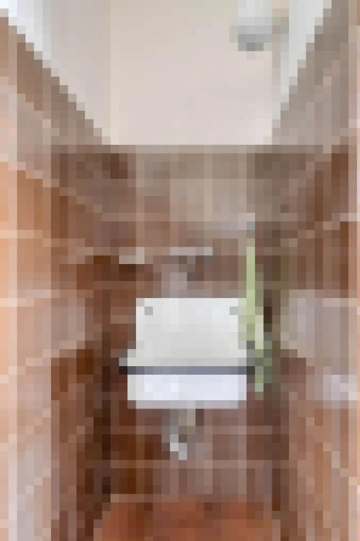 Den Achterhof 8 Liempde thumbnail 29