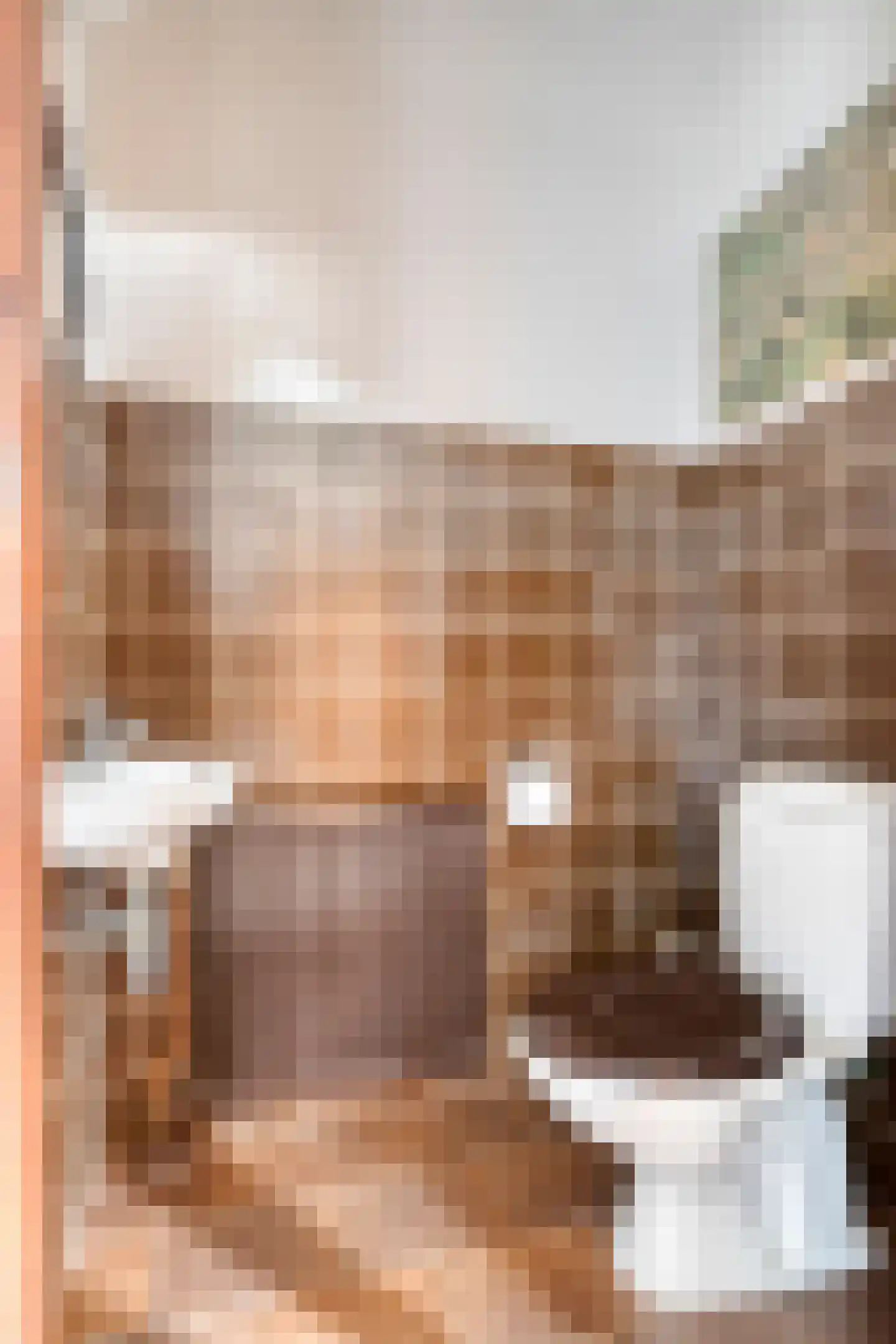 Den Achterhof 8 Liempde thumbnail 30