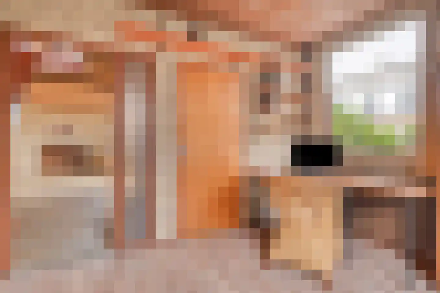 Den Achterhof 8 Liempde thumbnail 32