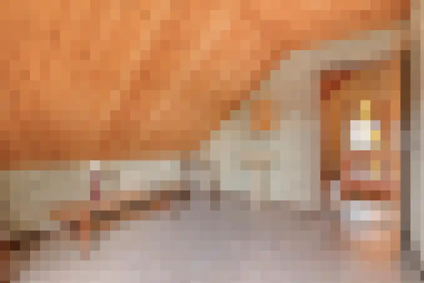 Den Achterhof 8 Liempde thumbnail 38