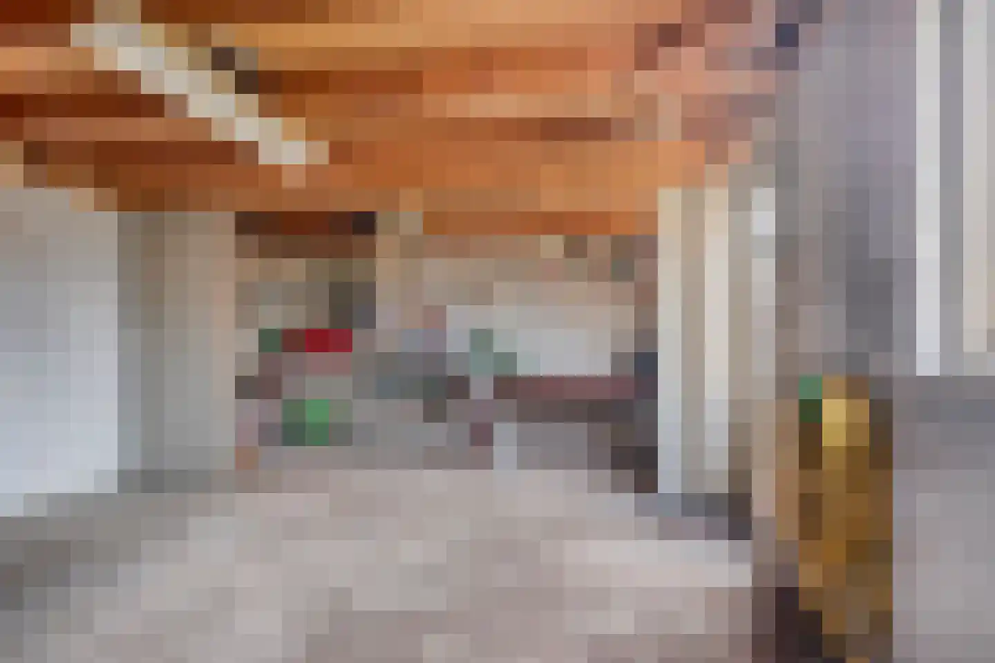 Den Achterhof 8 Liempde thumbnail 44