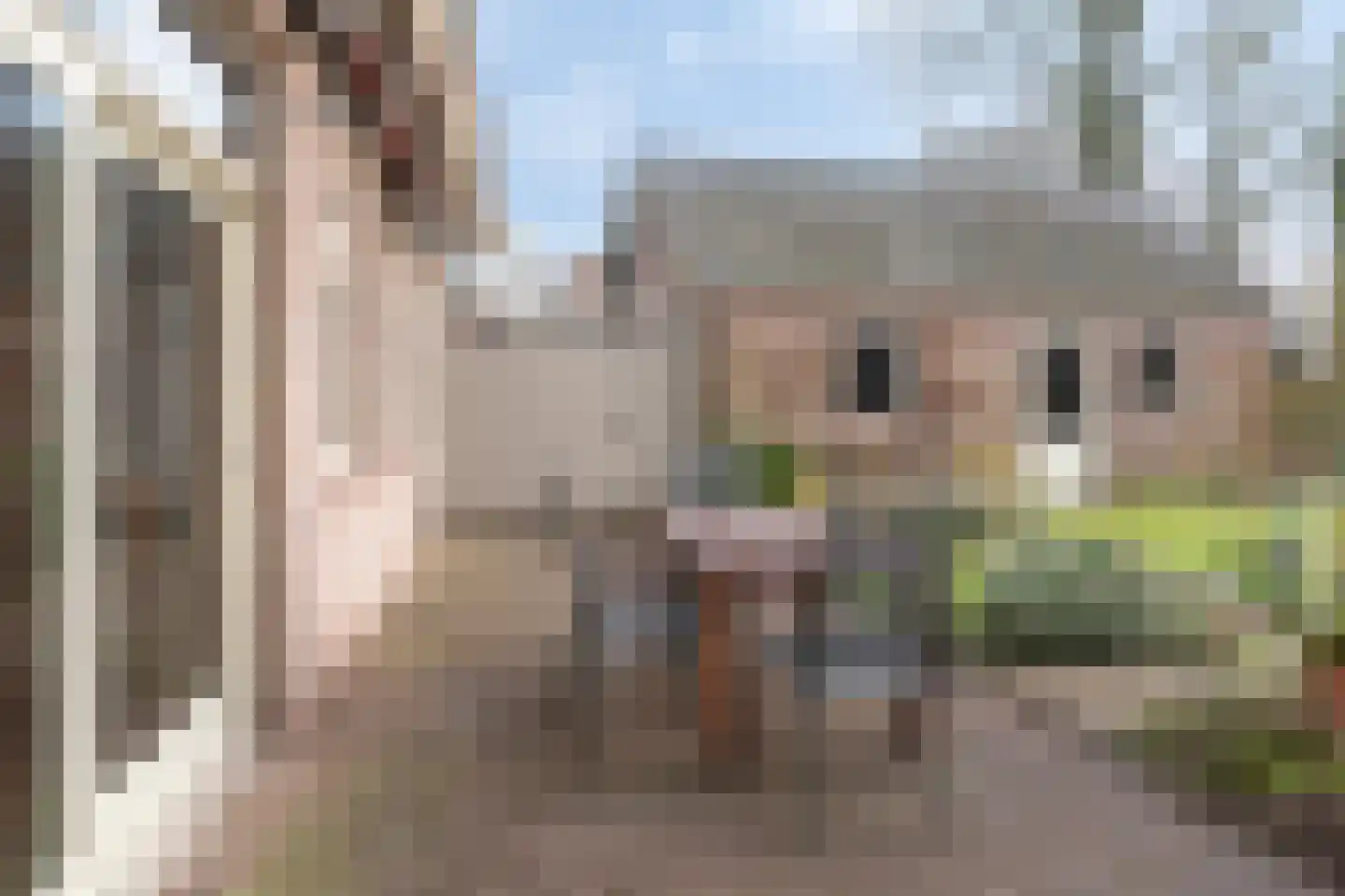 Den Achterhof 8 Liempde thumbnail 46
