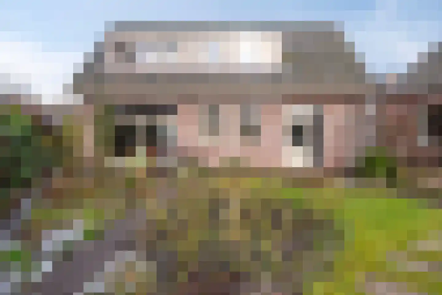 Den Achterhof 8 Liempde thumbnail 5