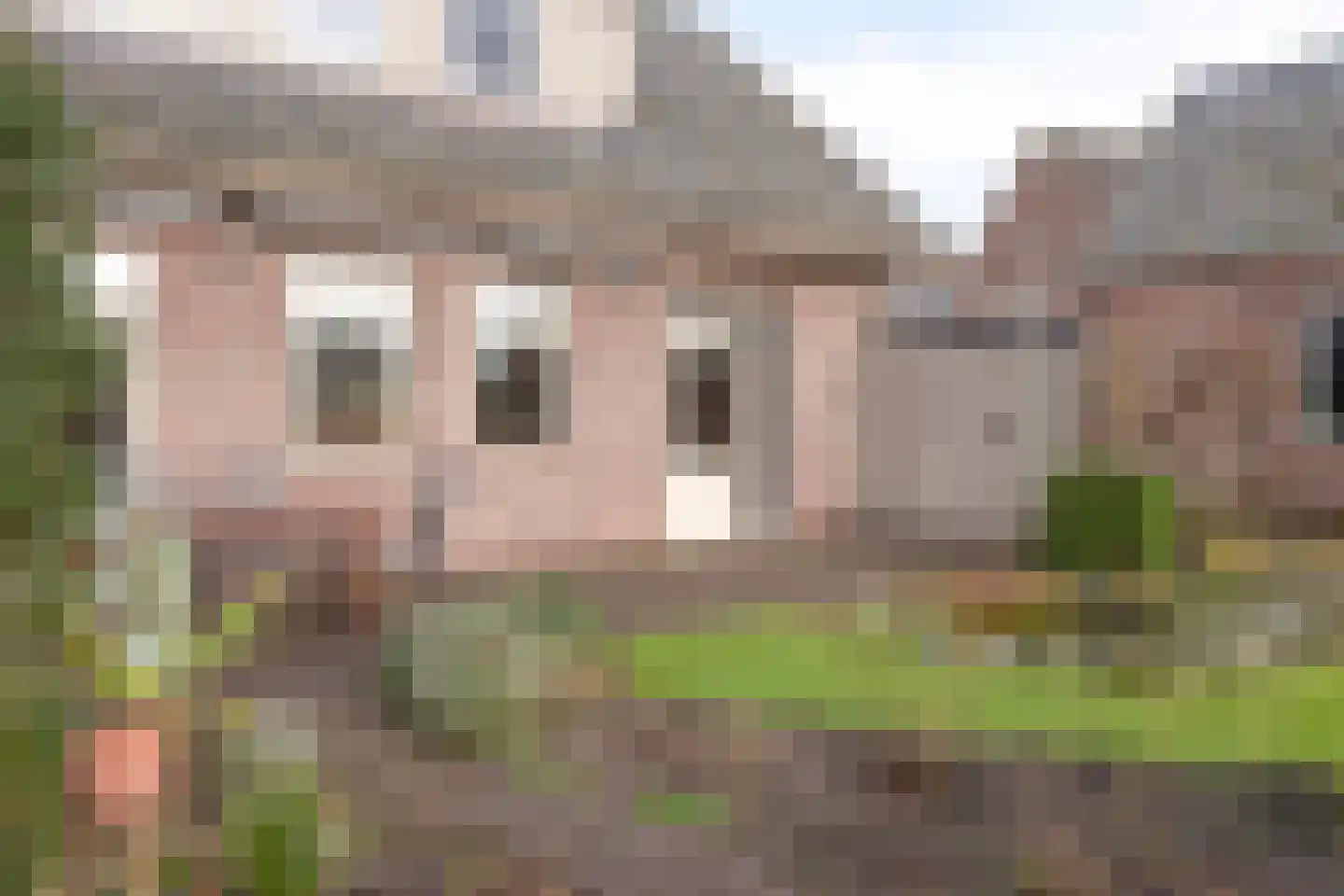 Den Achterhof 8 Liempde thumbnail 50
