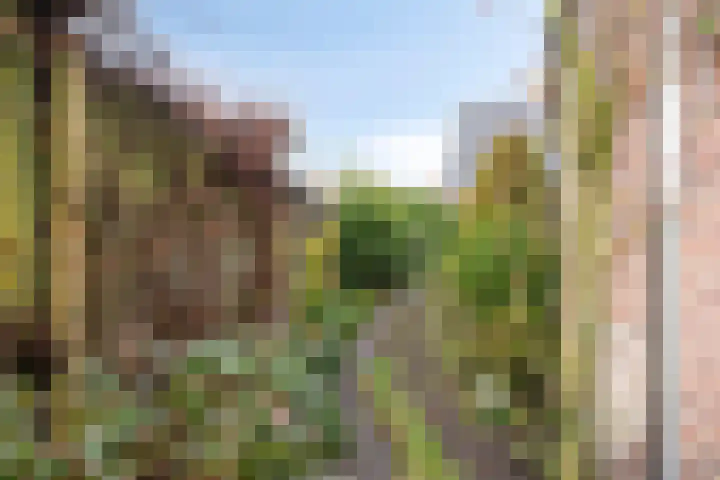 Den Achterhof 8 Liempde thumbnail 56