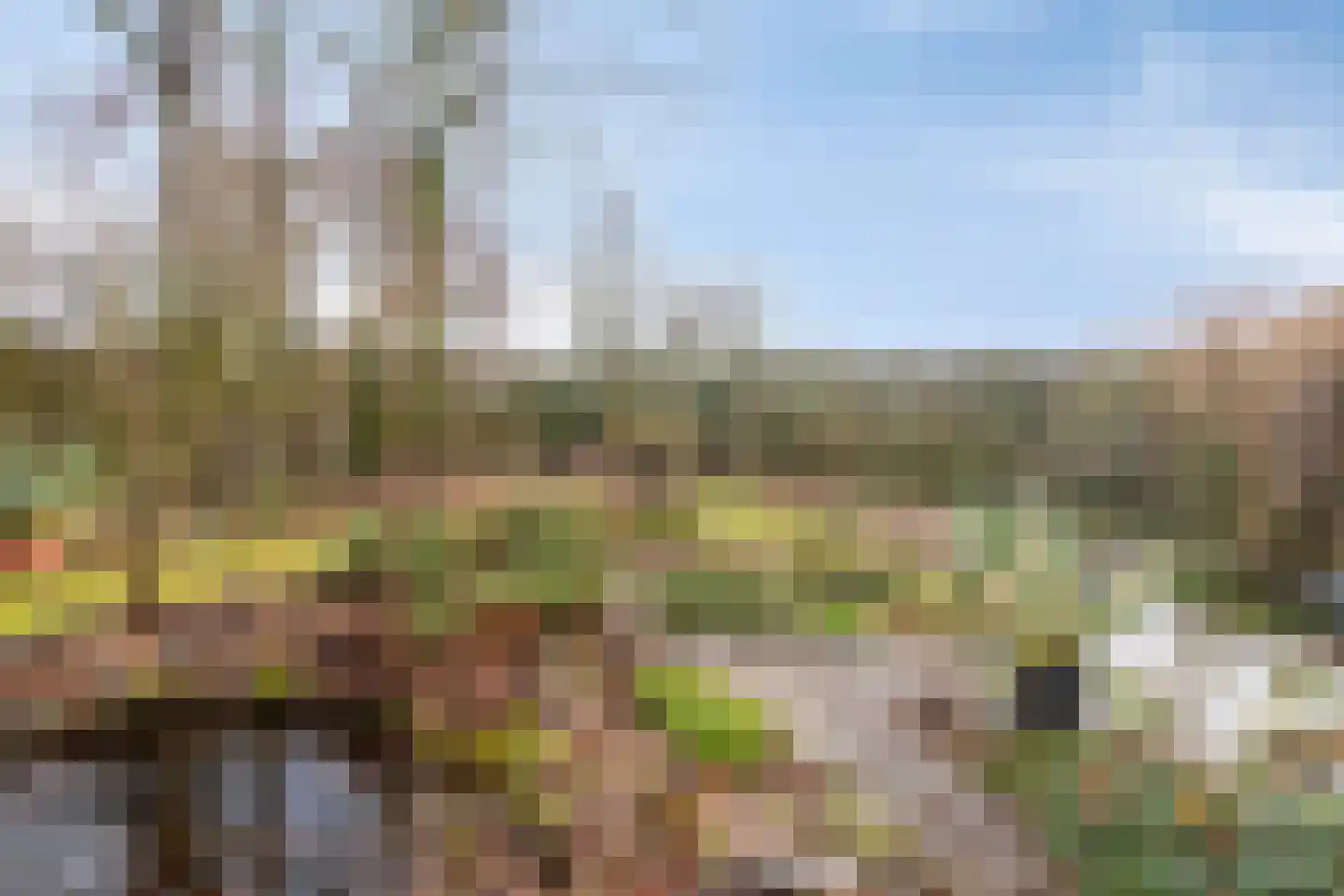 Den Achterhof 8 Liempde thumbnail 57