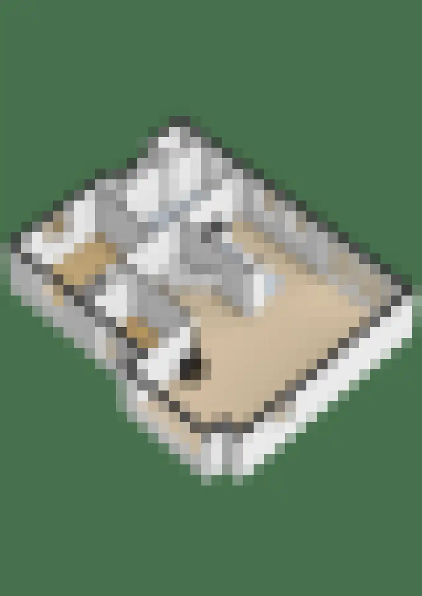 Den Achterhof 8 Liempde thumbnail 69