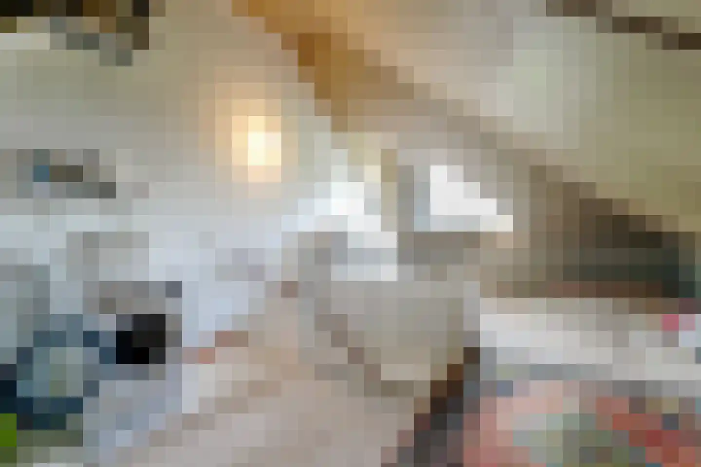 Den Ackersloot 11 Obdam thumbnail 31