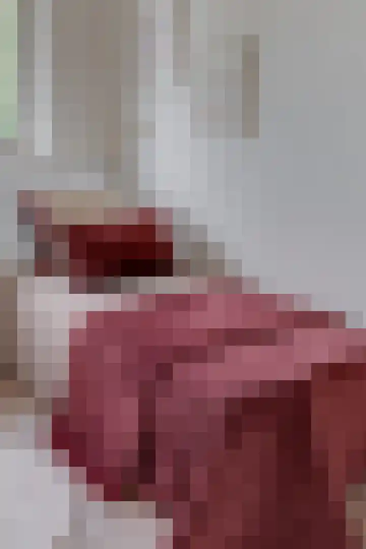 Den Ackersloot 5 Obdam thumbnail 23