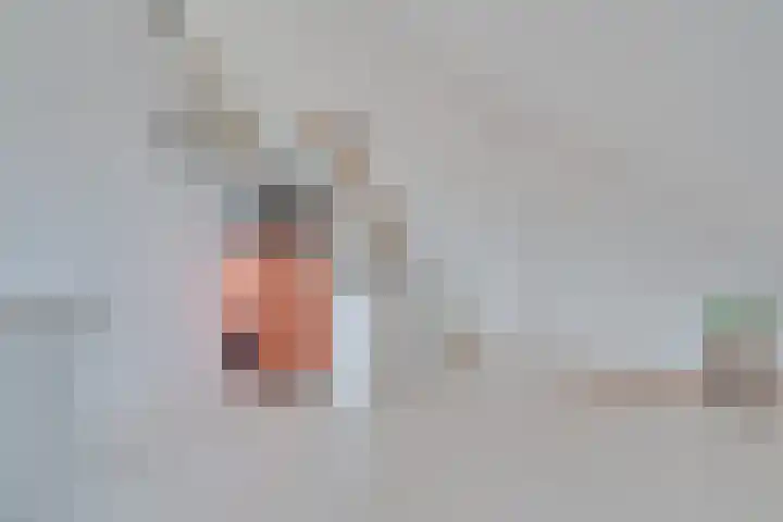 Den Ackersloot 5 Obdam thumbnail 36
