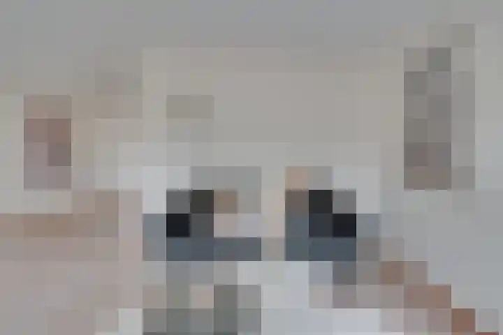 Den Ackersloot 5 Obdam thumbnail 8