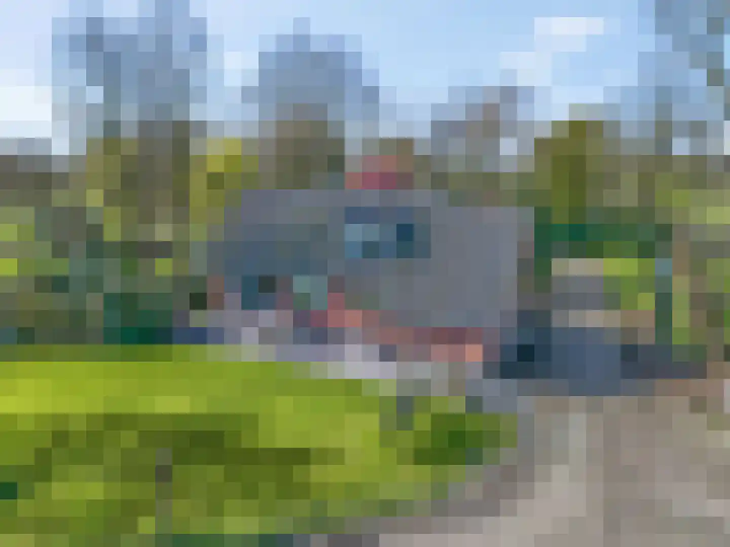 Den Akker 12 Nijkerk thumbnail 10