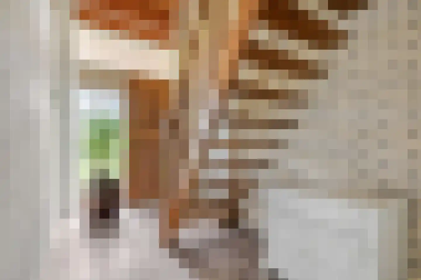 Den Akker 12 Nijkerk thumbnail 14
