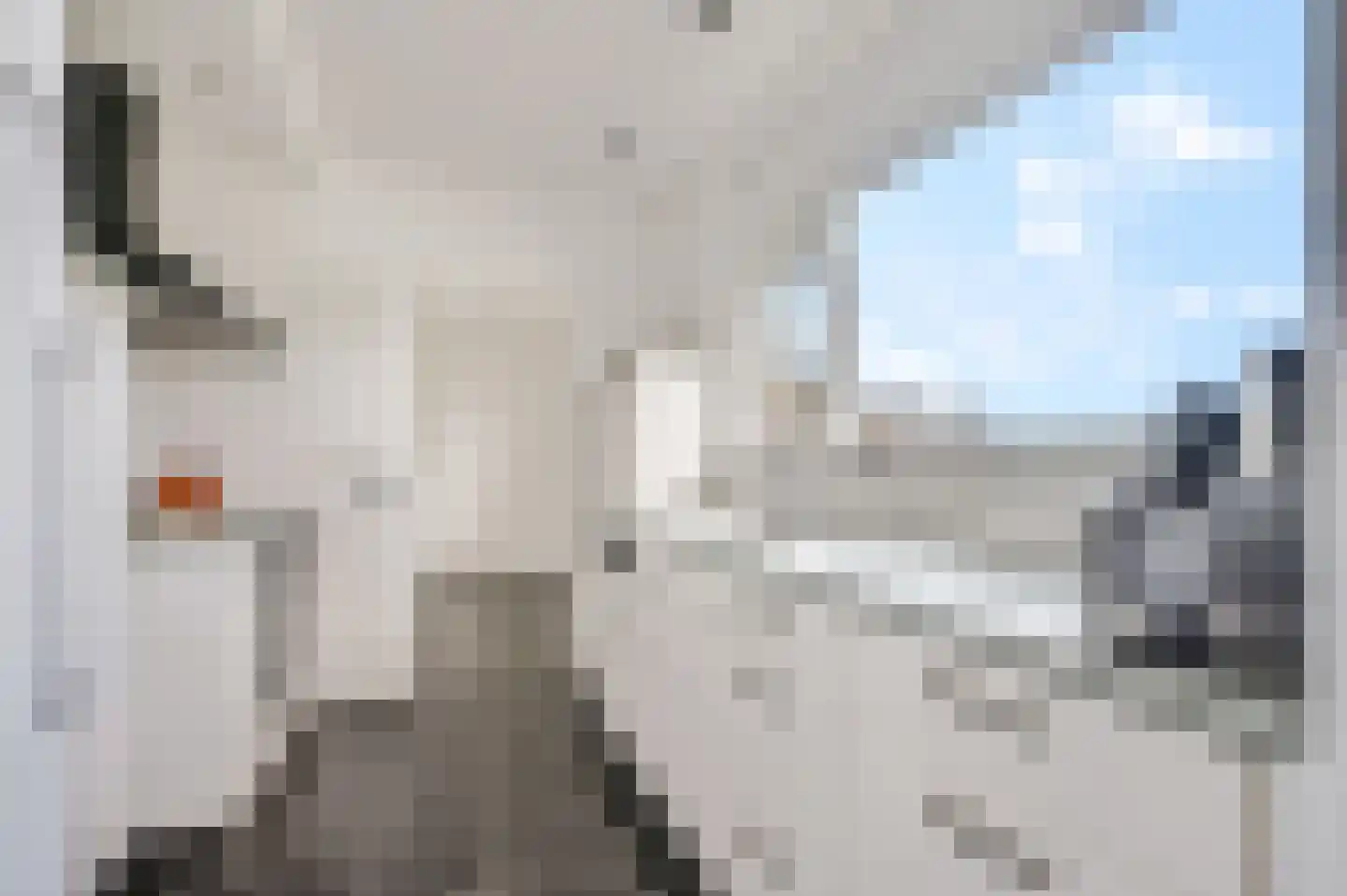 Den Akker 12 Nijkerk thumbnail 19