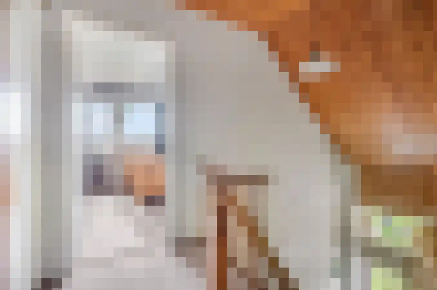 Den Akker 12 Nijkerk thumbnail 26