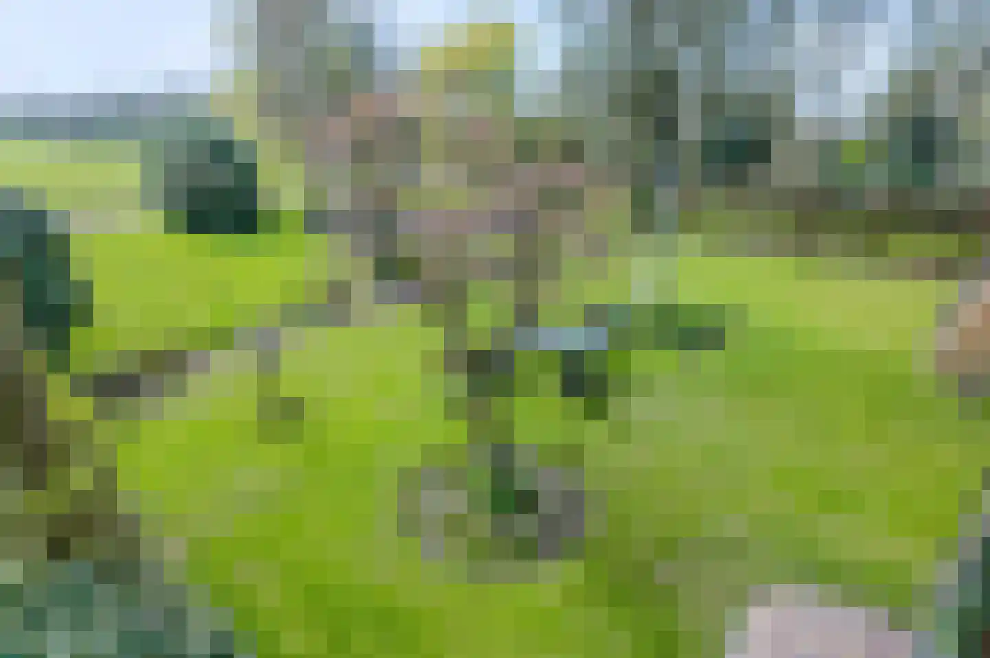 Den Akker 12 Nijkerk thumbnail 37