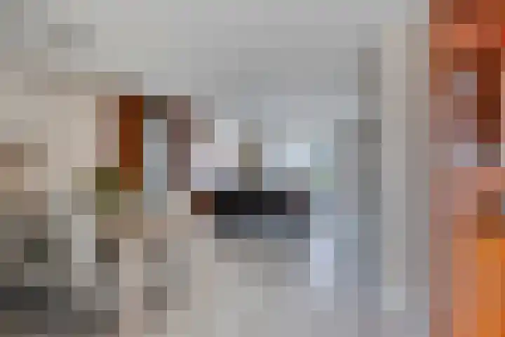Den Akker 14 Uden thumbnail 12