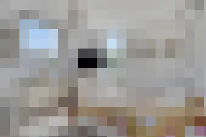 Den Akker 27 Uden thumbnail 19