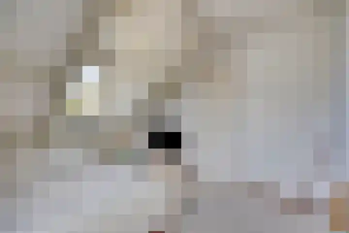Den Akker 27 Uden thumbnail 23