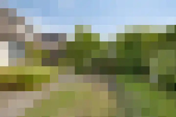 Den Akker 27 Uden thumbnail 36