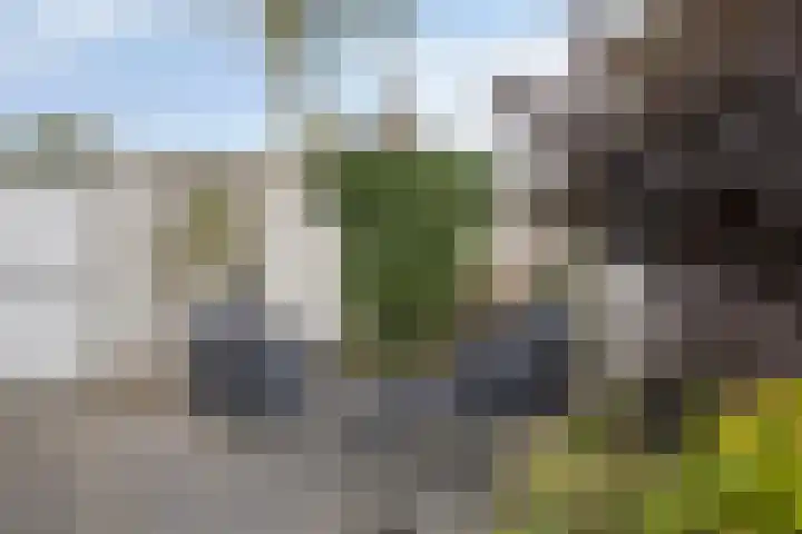 Den Akker 27 Uden thumbnail 40