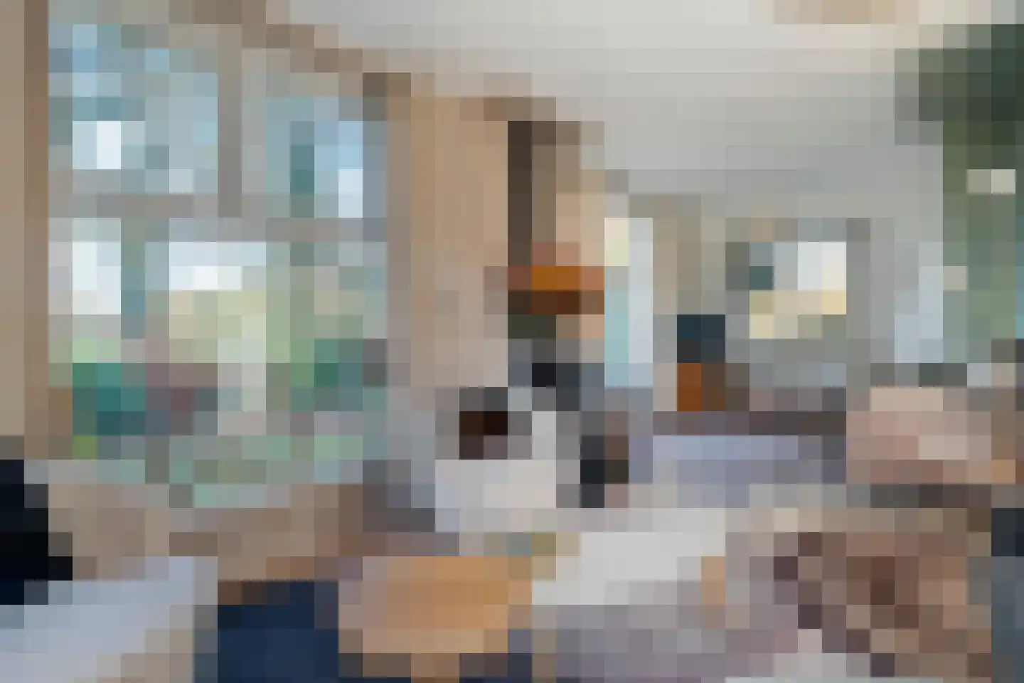 den Alerdinckweg 10 Laag Zuthem thumbnail 11