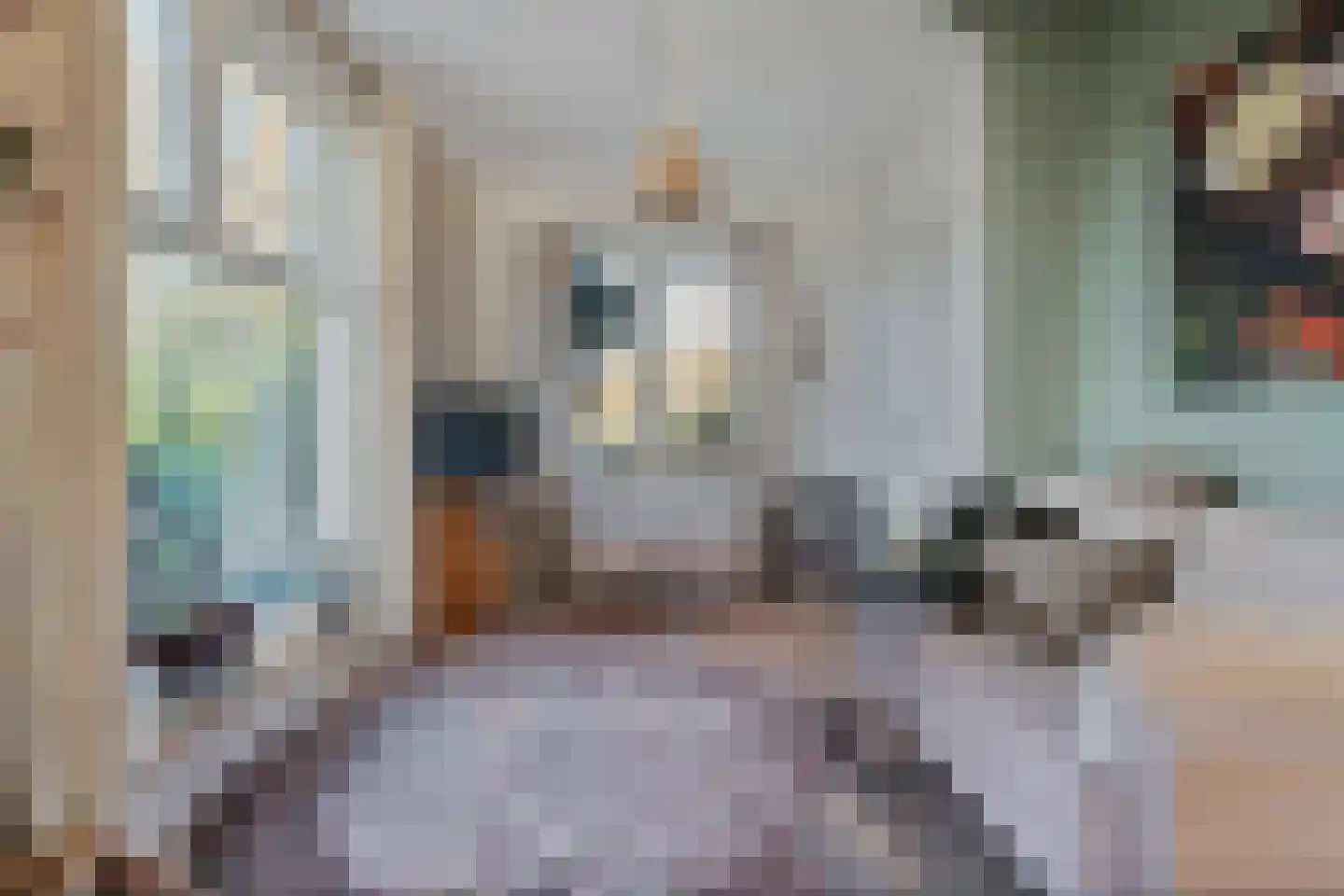 den Alerdinckweg 10 Laag Zuthem thumbnail 12