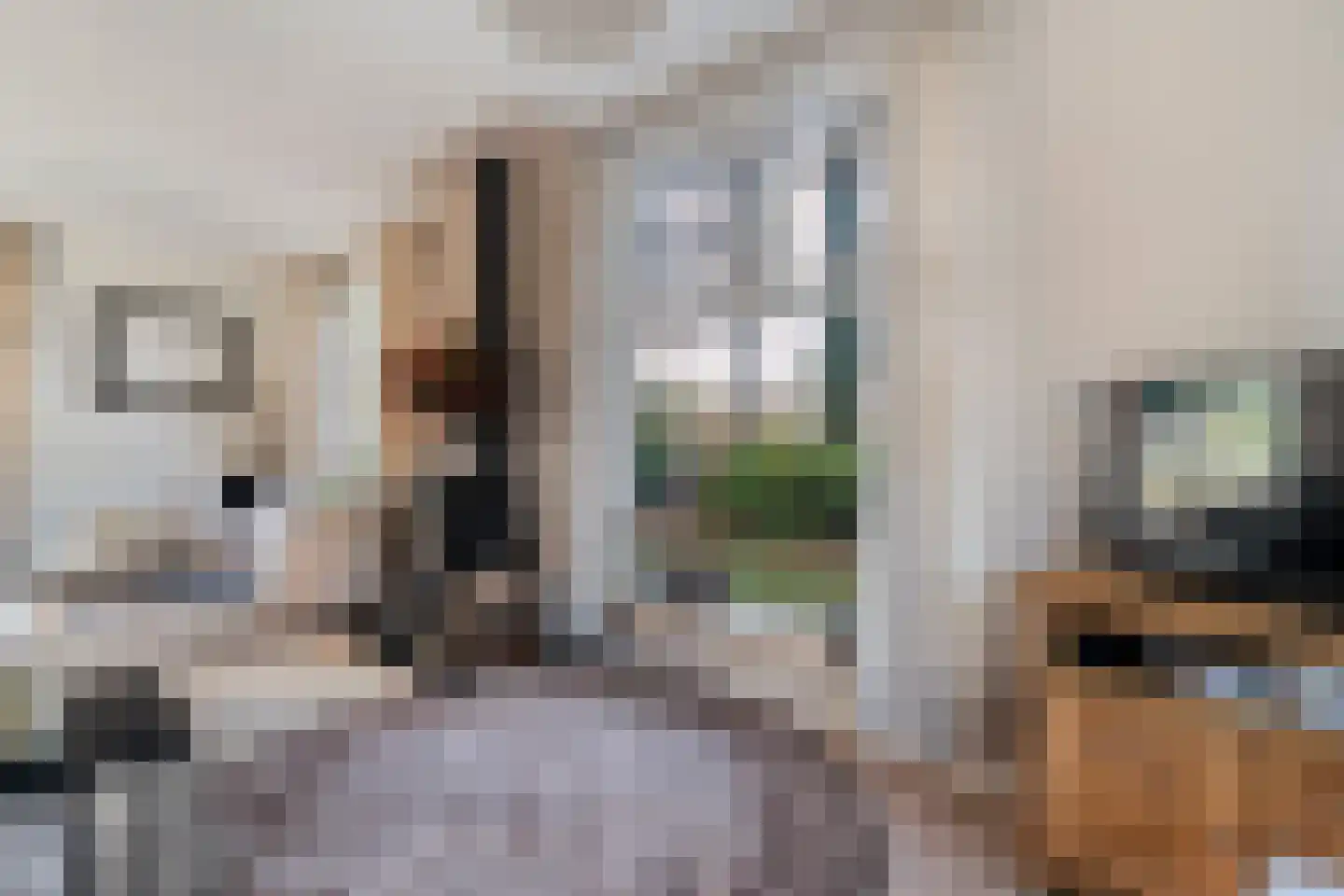 den Alerdinckweg 10 Laag Zuthem thumbnail 14