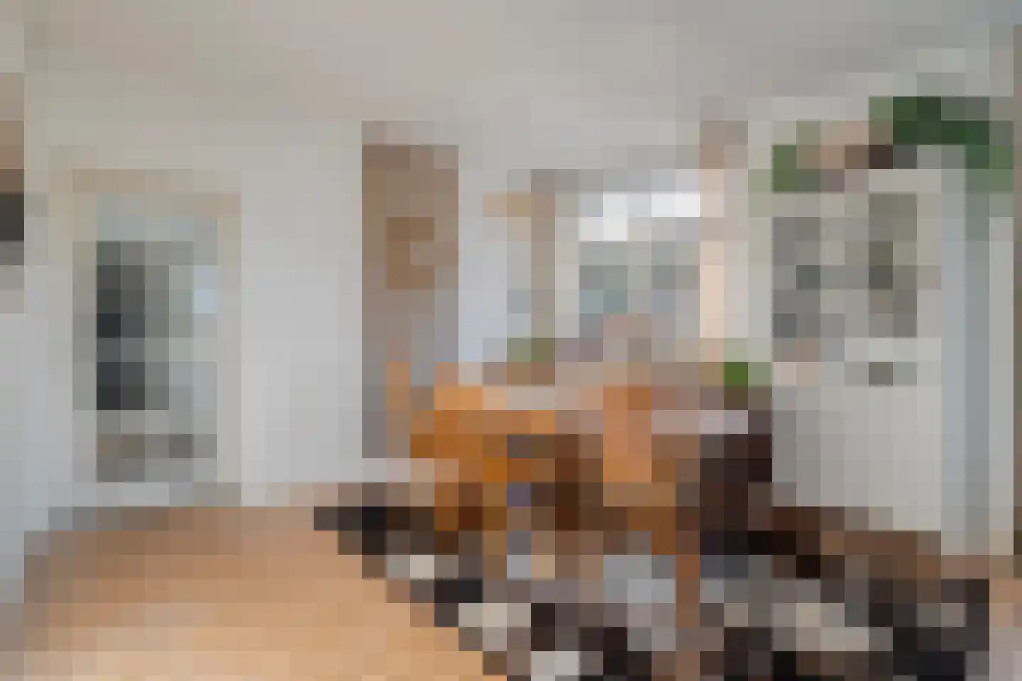den Alerdinckweg 10 Laag Zuthem thumbnail 17