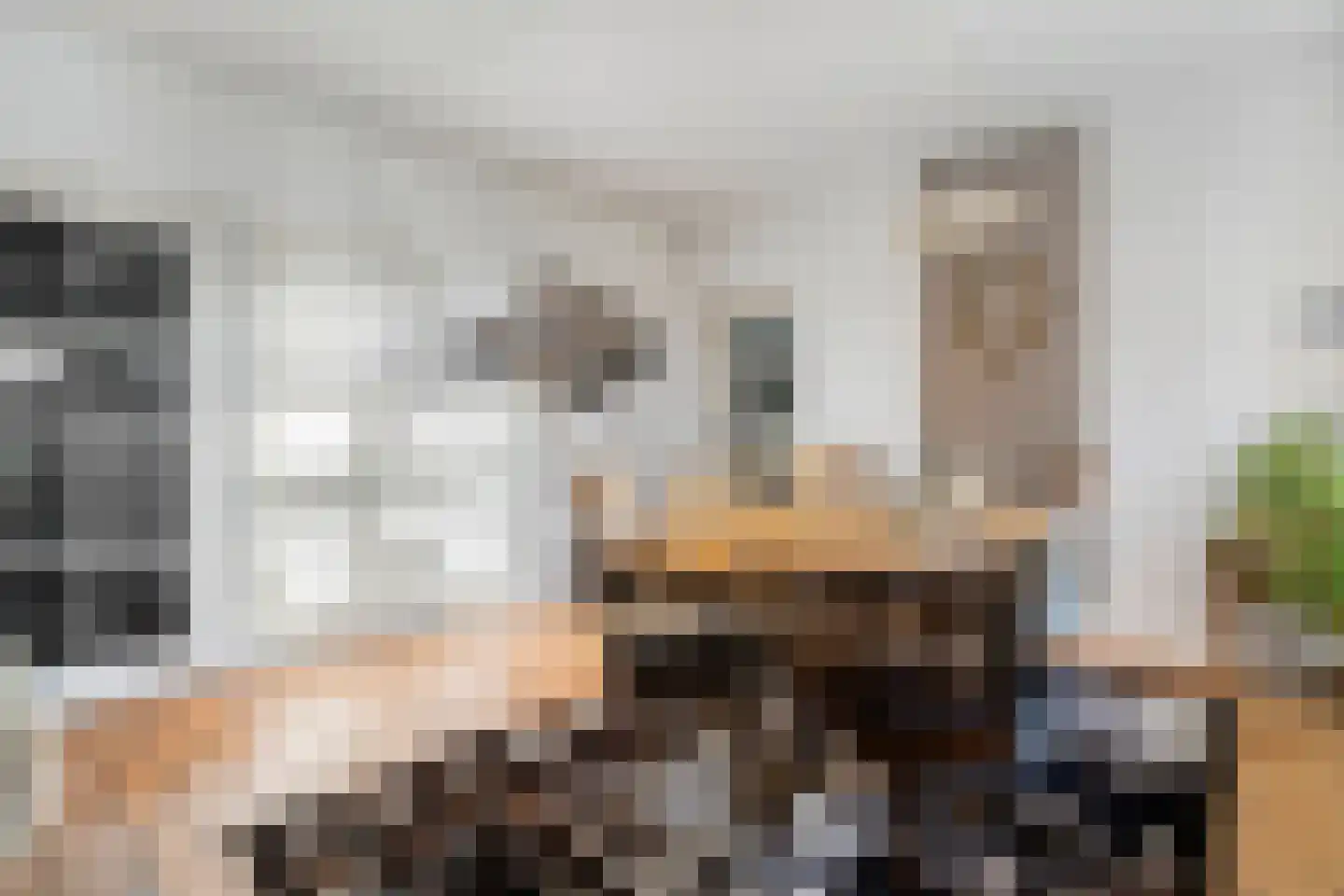 den Alerdinckweg 10 Laag Zuthem thumbnail 18