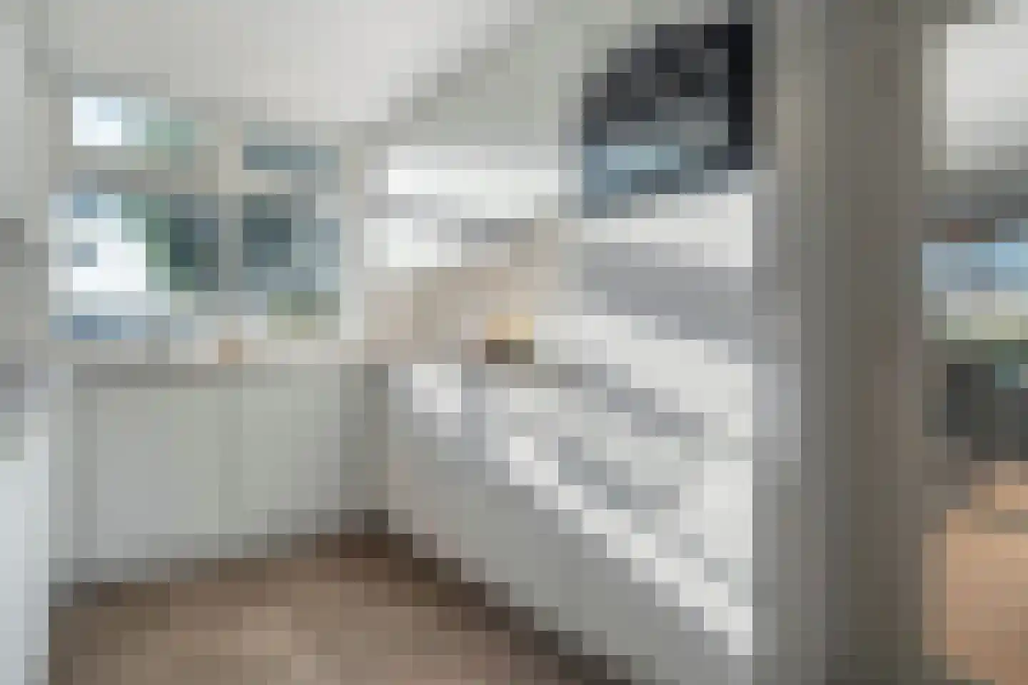 den Alerdinckweg 10 Laag Zuthem thumbnail 19