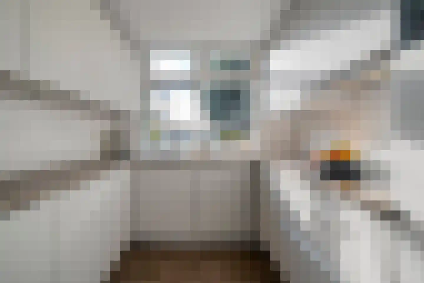 den Alerdinckweg 10 Laag Zuthem thumbnail 22