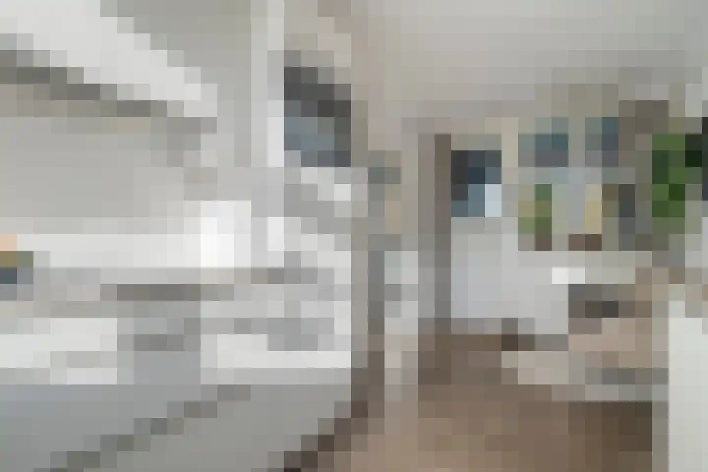 den Alerdinckweg 10 Laag Zuthem thumbnail 24