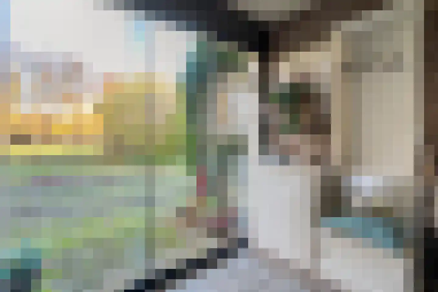 den Alerdinckweg 10 Laag Zuthem thumbnail 27