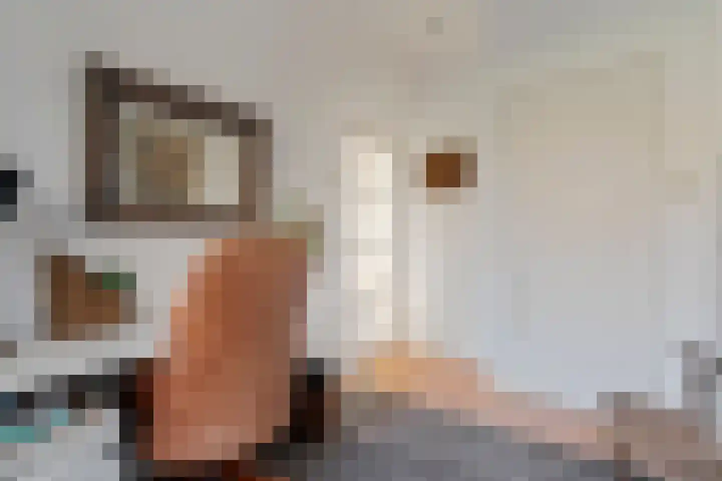 den Alerdinckweg 10 Laag Zuthem thumbnail 29