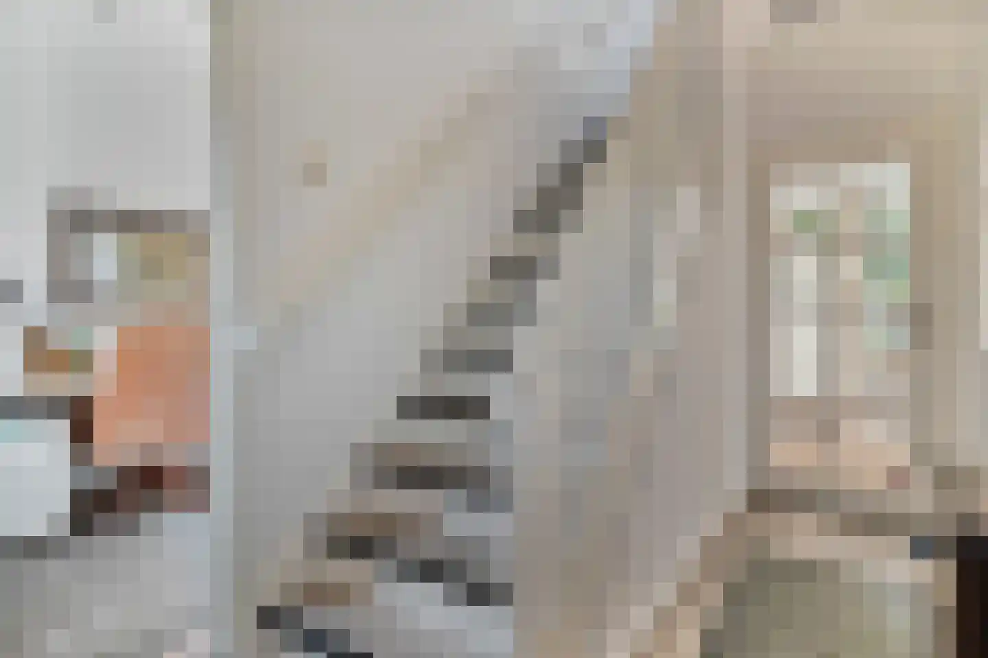 den Alerdinckweg 10 Laag Zuthem thumbnail 31