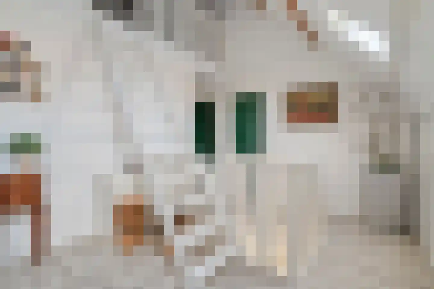 den Alerdinckweg 10 Laag Zuthem thumbnail 32